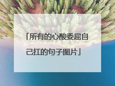 所有的心酸委屈自己扛的句子图片