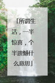 所谓生活，一半惊喜，个半遗憾什么意思