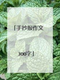 手抄报作文300字