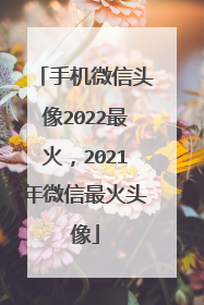 手机微信头像2022最火，2021年微信最火头像