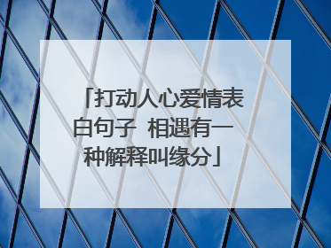 打动人心爱情表白句子 相遇有一种解释叫缘分