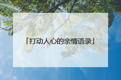 打动人心的亲情语录