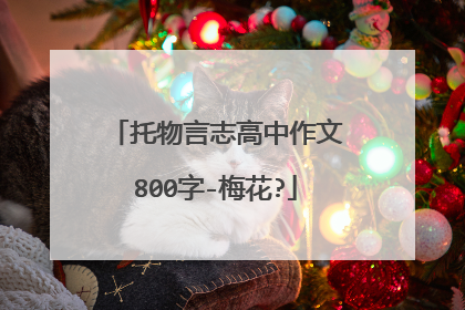托物言志高中作文800字-梅花?