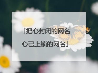 把心封闭的网名 心已上锁的网名
