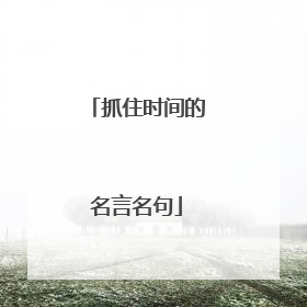 抓住时间的名言名句