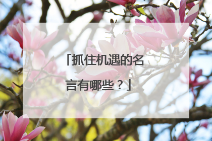 抓住机遇的名言有哪些?