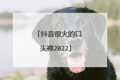 抖音很火的口头禅2022