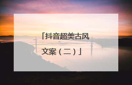 抖音超美古风文案(二)