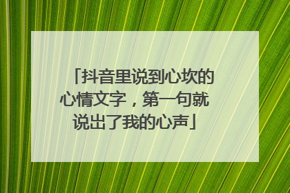抖音里说到心坎的心情文字，第一句就说岀了我的心声