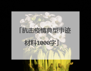 抗击疫情典型事迹材料1000字