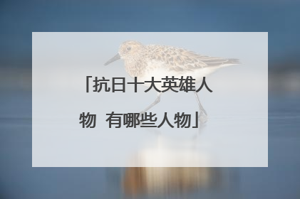 抗日十大英雄人物 有哪些人物