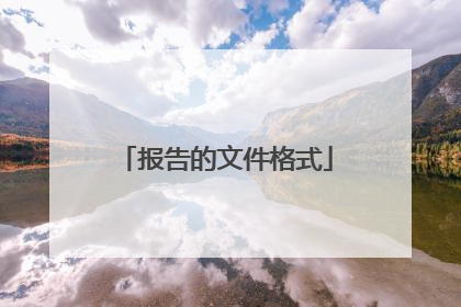 报告的文件格式