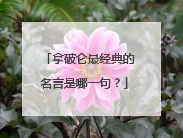 拿破仑最经典的名言是哪一句？