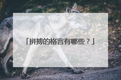 拼搏的格言有哪些?