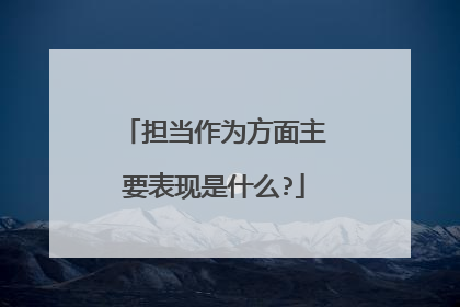 担当作为方面主要表现是什么?