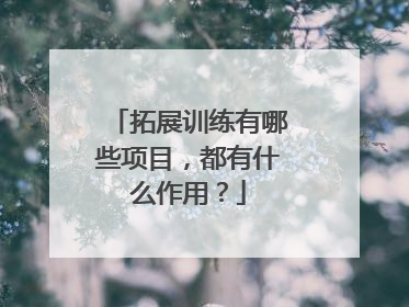 拓展训练有哪些项目，都有什么作用？