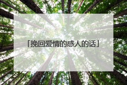 挽回爱情的感人的话