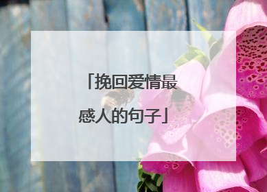 挽回爱情最感人的句子