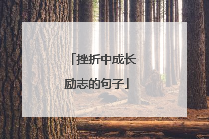 挫折中成长励志的句子