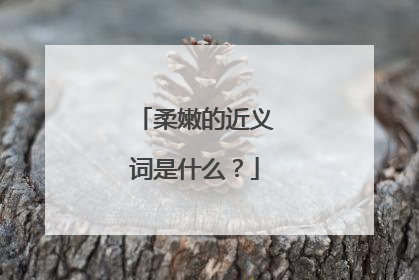 柔嫩的近义词是什么？