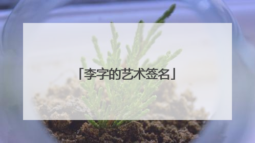 李字的艺术签名