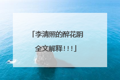 李清照的醉花阴 全文解释!!!