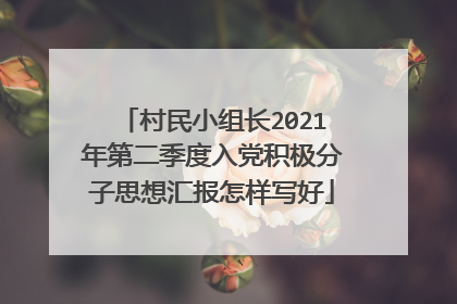 村民小组长2021年第二季度入党积极分子思想汇报怎样写好
