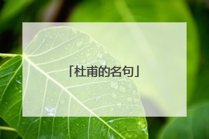 杜甫的名句