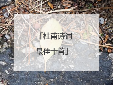 杜甫诗词最佳十首