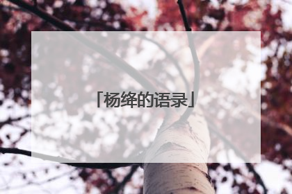 杨绛的语录