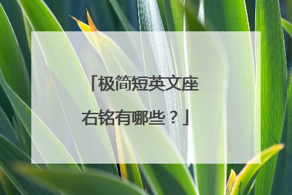 极简短英文座右铭有哪些？