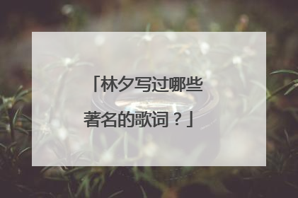 林夕写过哪些著名的歌词?