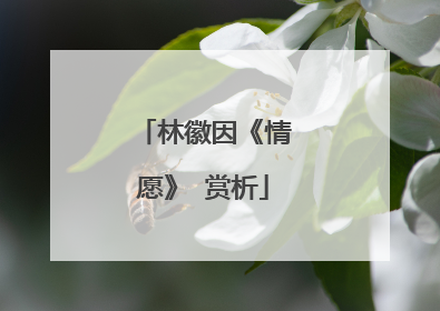 林徽因《情愿》 赏析