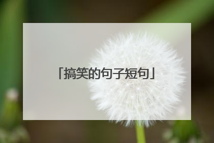 搞笑的句子短句