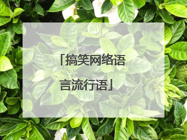 搞笑网络语言流行语