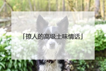 撩人的高级土味情话