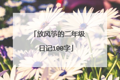 放风筝的二年级日记100字