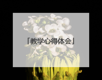 教学心得体会