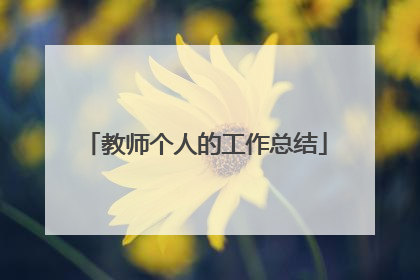 教师个人的工作总结