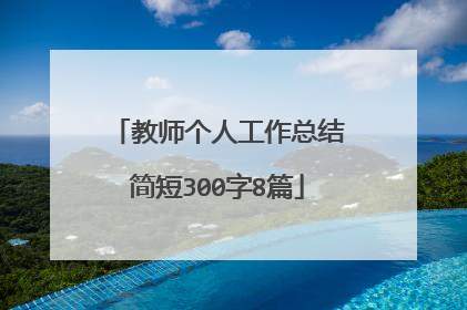 教师个人工作总结简短300字8篇