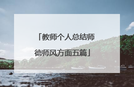 教师个人总结师德师风方面五篇