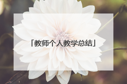 教师个人教学总结