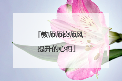 教师师德师风提升的心得