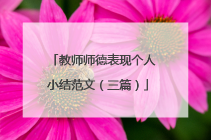 教师师德表现个人小结范文（三篇）