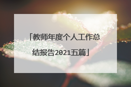 教师年度个人工作总结报告2021五篇