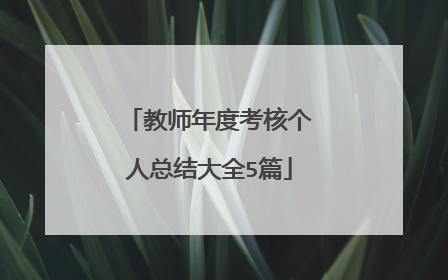 教师年度考核个人总结大全5篇