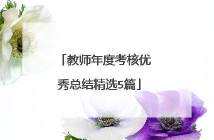 教师年度考核优秀总结精选5篇