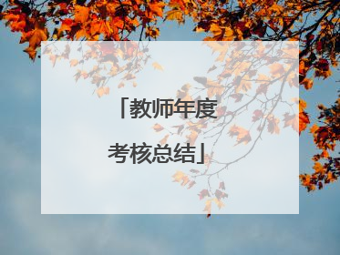教师年度考核总结