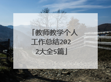 教师教学个人工作总结2022大全5篇