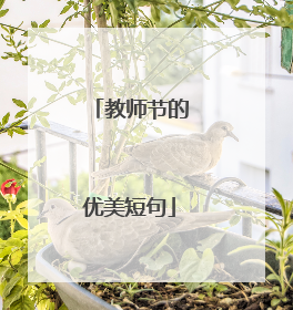 教师节的优美短句